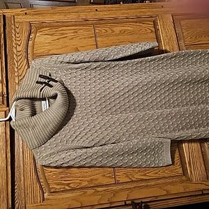 Ladies sweater dress